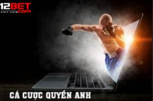 Các Loại Hình Cược Quyền Anh Phổ Biến Tại 12Bet