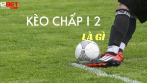 Mẹo Nâng Cao Khi Chơi Kèo Chấp 1/2 Tại 12Bet